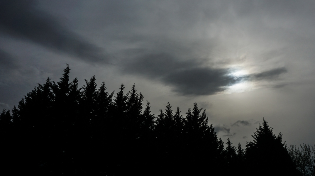 συνεφφα, ουρανος, δεντρα