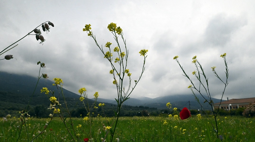 Εορτολόγιο
