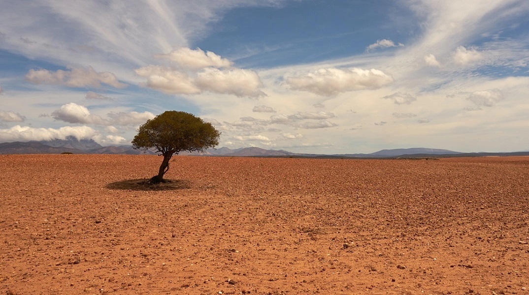 ερημος, δεντρο, ουρανος