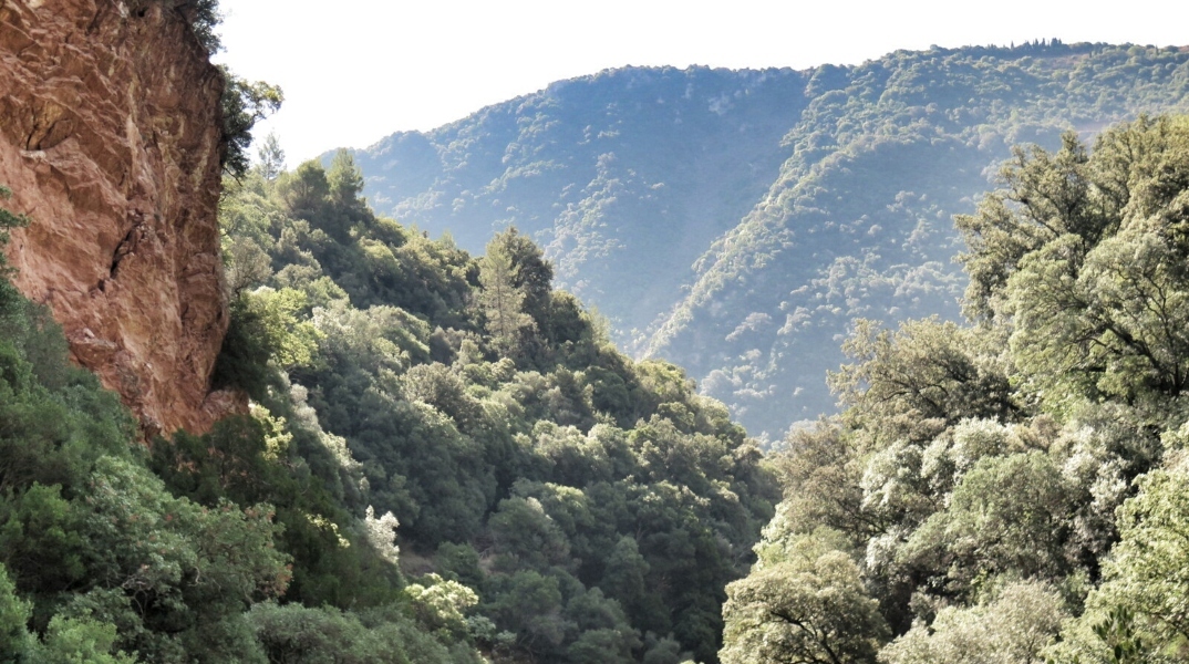 δασος, βουνα, ουρανος