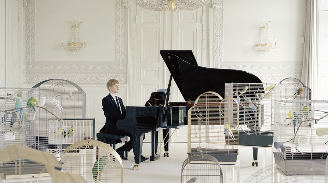 Annika Kahrs, «Playing to the birds»