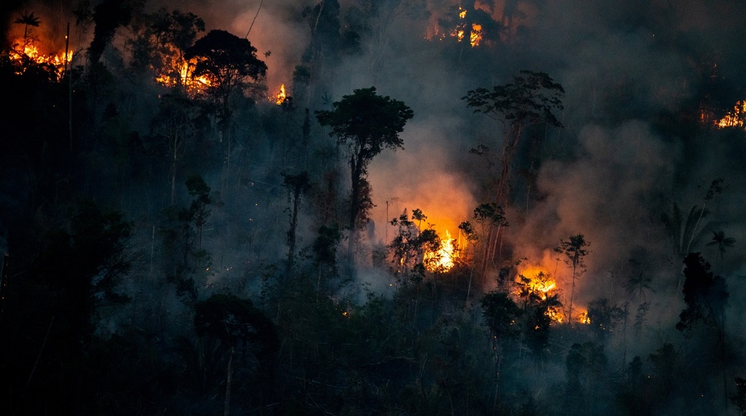 SOS για την κλιματική αλλαγή: Το 2024 χάθηκε ένας «Παναμάς» τροπικών δασών