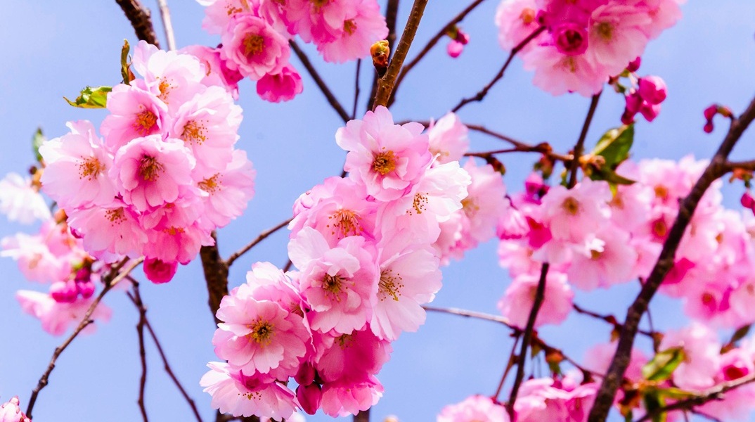 Εορτολόγιο: Σήμερα 27 Μαΐου 2025 γιορτάζει…