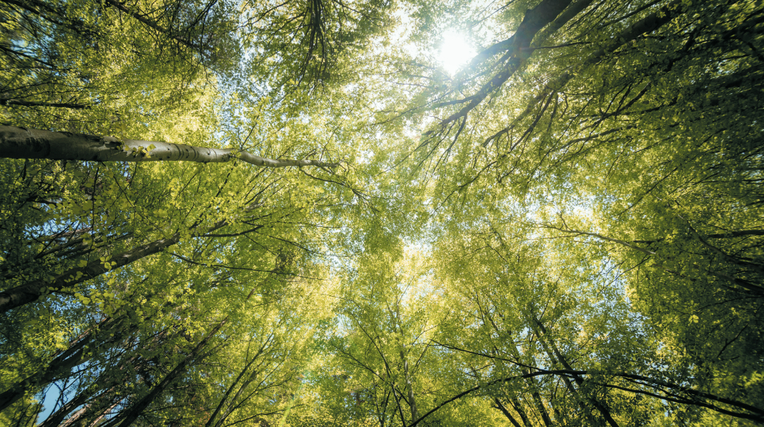 ΟΜΙΛΟΣ ΓΕΚ ΤΕΡΝΑ: Βιωσιμότητα στην πράξη