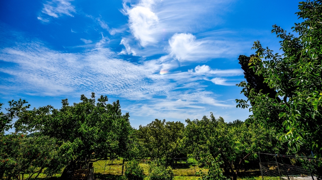Καιρός, ουρανος, συννεφα, δεντρα