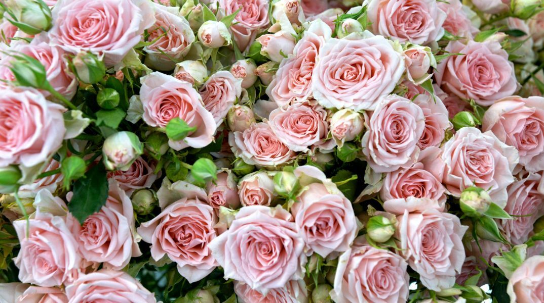 Εορτολόγιο: Ποιοι γιορτάζουν σήμερα 7 Σεπτεμβρίου 2025; H Athens Voice σου τους θυμίζει