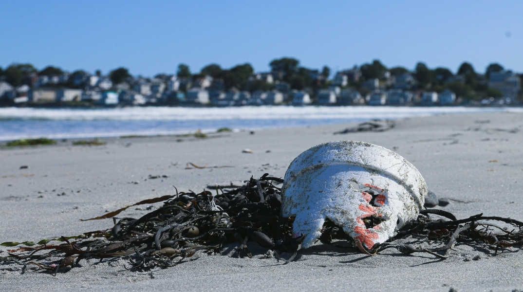 Χαβάη, παραλία, σκουπιδια