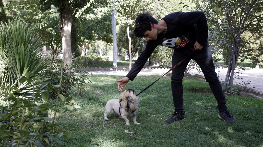 Το Ιράν επεκτείνει την απαγόρευση του περιπάτου σκύλων σε περισσότερες από 20 πόλεις