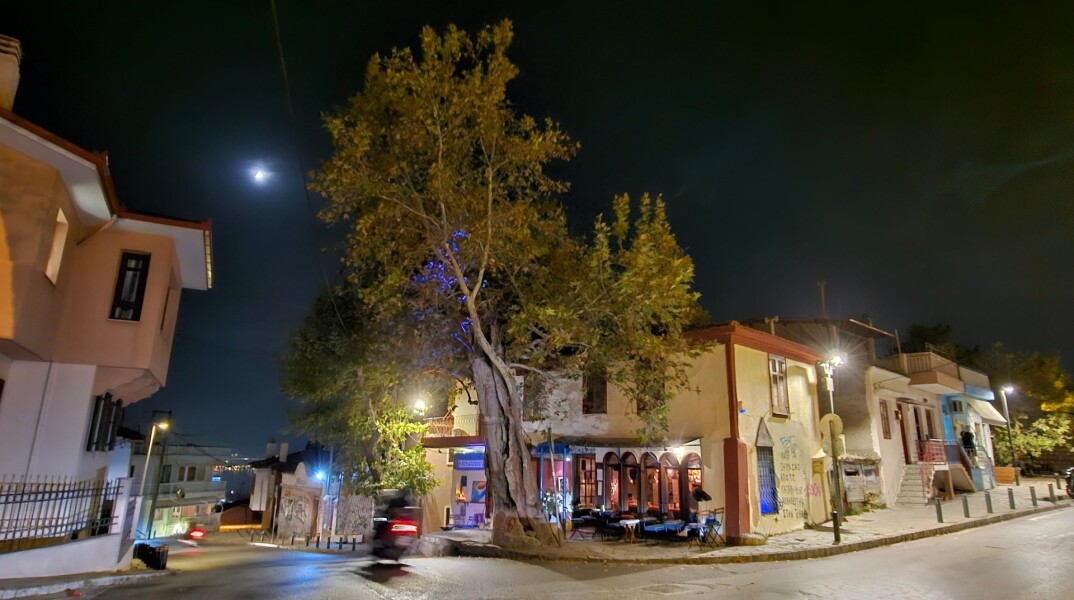 Ο Πλάτανος της Άνω Πόλης