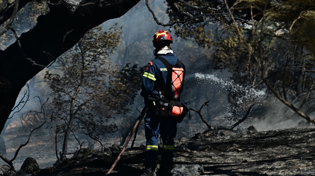 πυρκαγιές, Πυροσβεστική