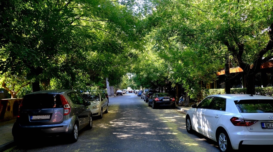 Δήμος Αθηναίων, γειτονια, δρομος, πράσινο, οχηματα