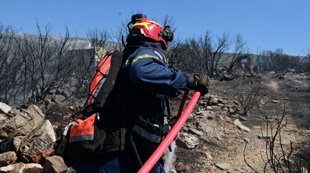φωτιά, πυροσβεστες, δασος