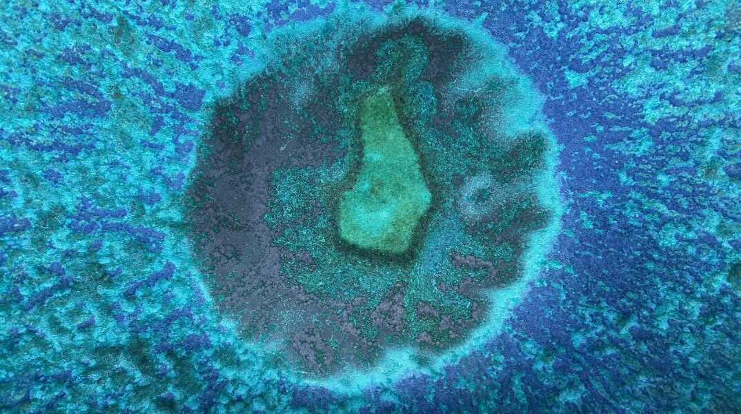 «Σαν ταινία επιστημονικής φαντασίας»: Μωρό γεννήθηκε στις ΗΠΑ από έμβρυο που είχε καταψυχθεί πριν από 30 χρόνια