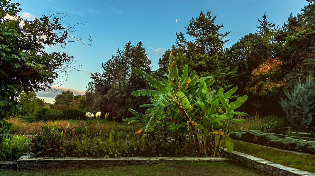 Βοτανικός Κήπος Διομήδους: Εκεί όπου η φύση συναντά τη μνήμη