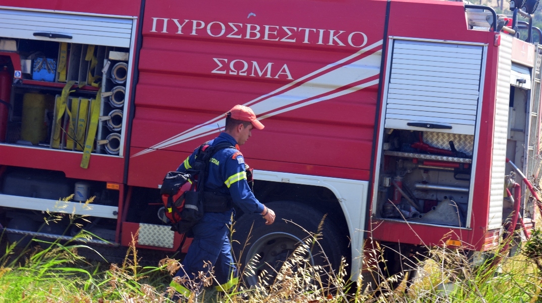 φωτιά, πυροσβεστες, δασος