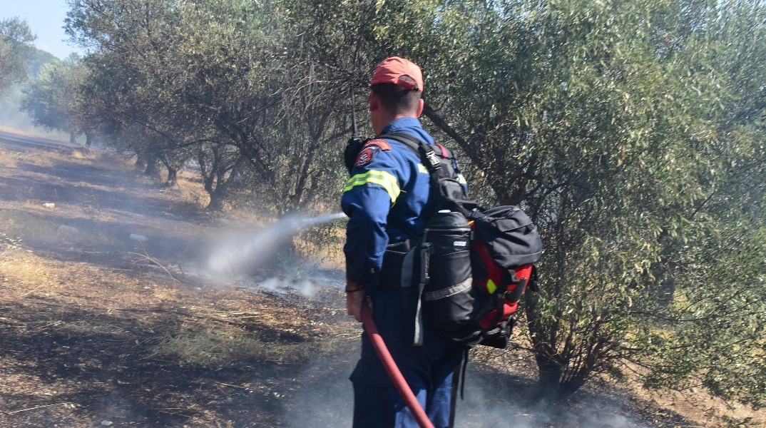 φωτιά, πυροσβεστες, δασος