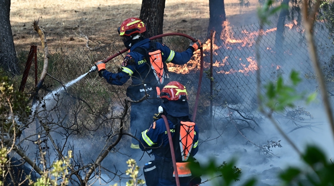 φωτιά, πυροσβεστες, δασος