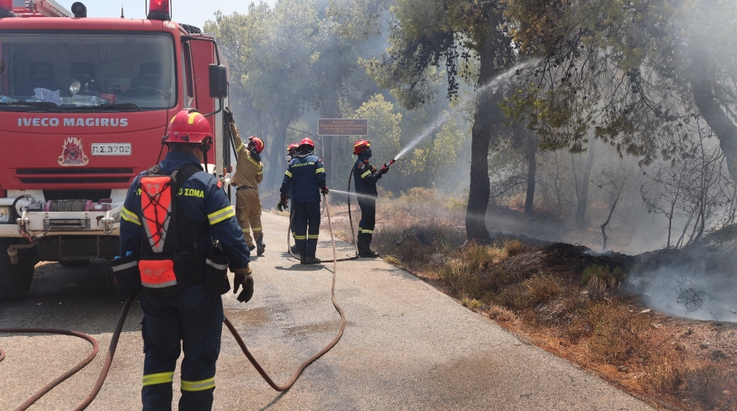 φωτιά, πυροσβεστες, δασος