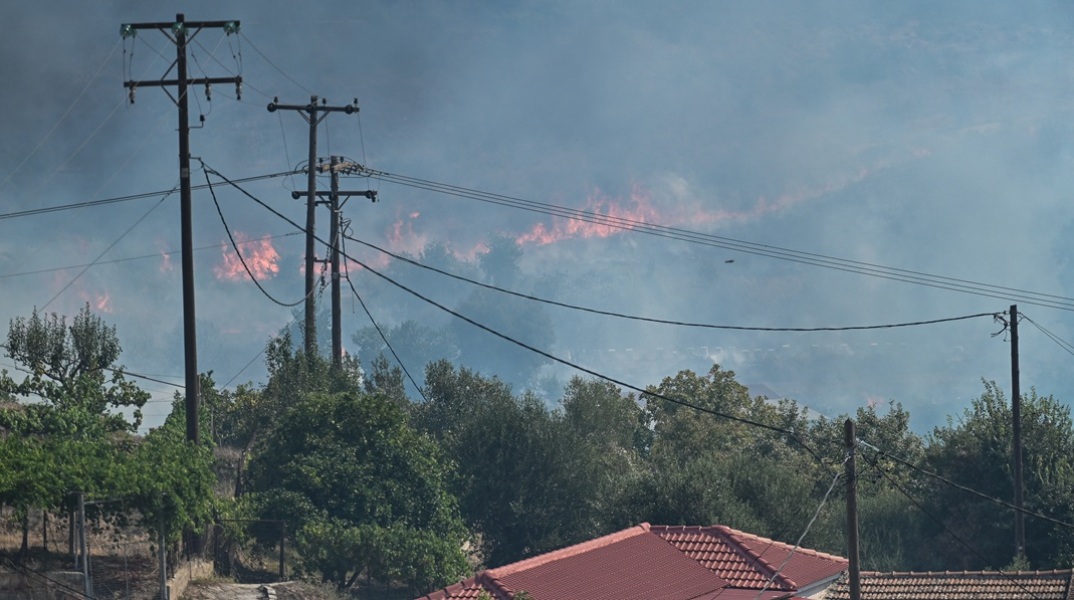 Φωτιά στην Πρέβεζα: Κατεπείγουσα εισαγγελική έρευνα για εμπρησμούς