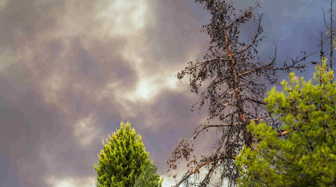 Φωτιά στην Αχαΐα: Τρεις φορές πάνω από το όριο οι καρκινογόνες ενώσεις στα σωματίδια καπνού