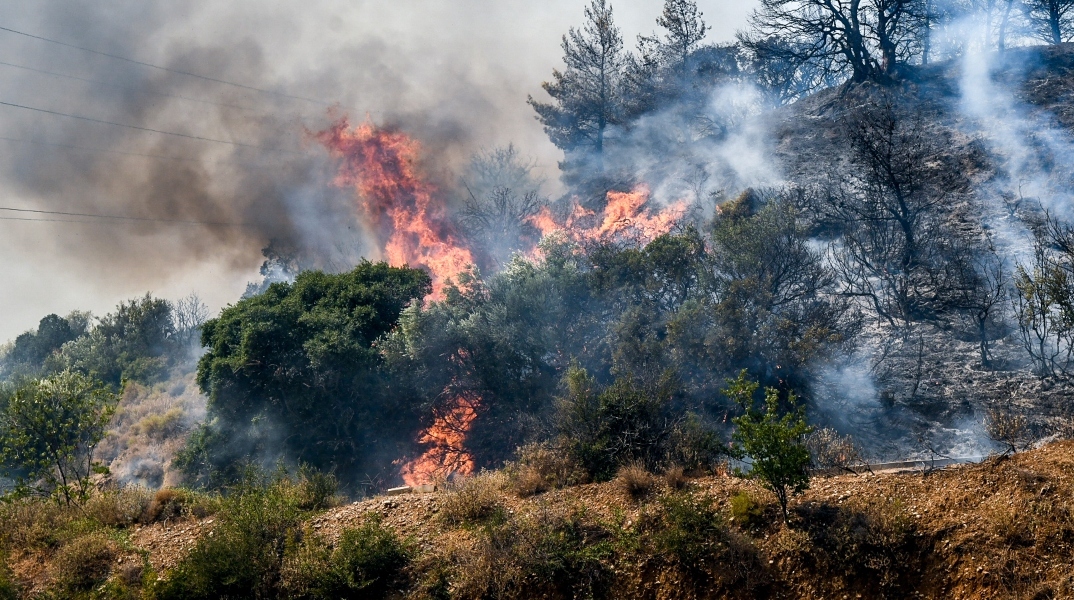 φωτιά, δασος