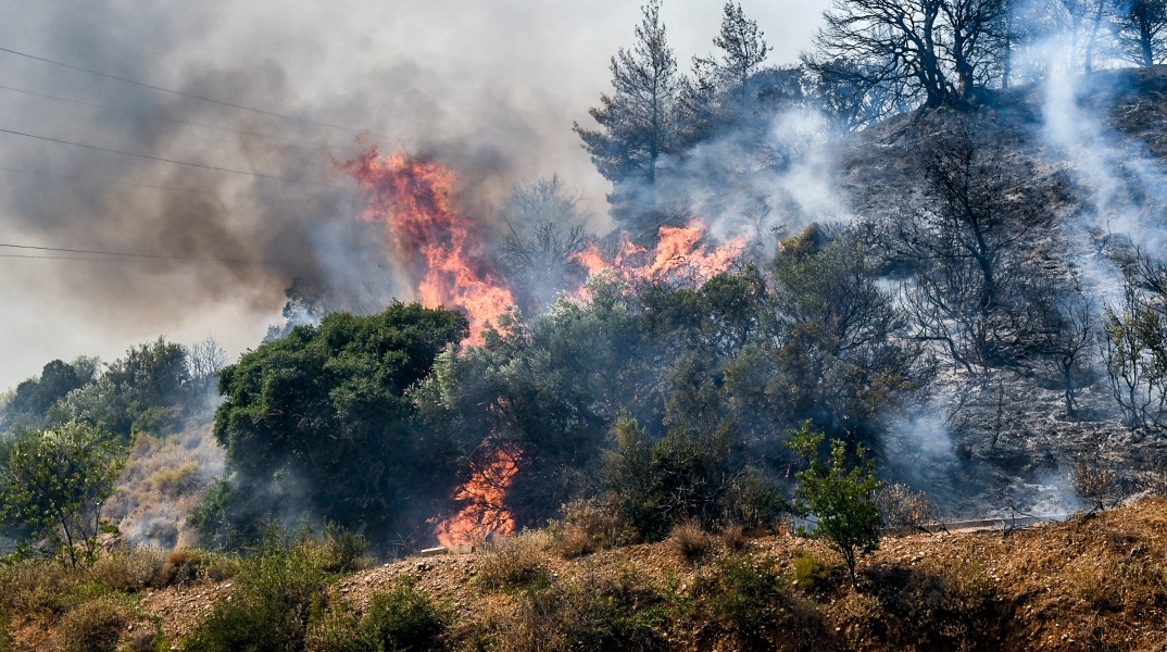 Φωτιά τώτα στον Μελιγαλά Μεσσηνίας κοντά σε σπίτια - Μήνυμα 112 για εκκένωση