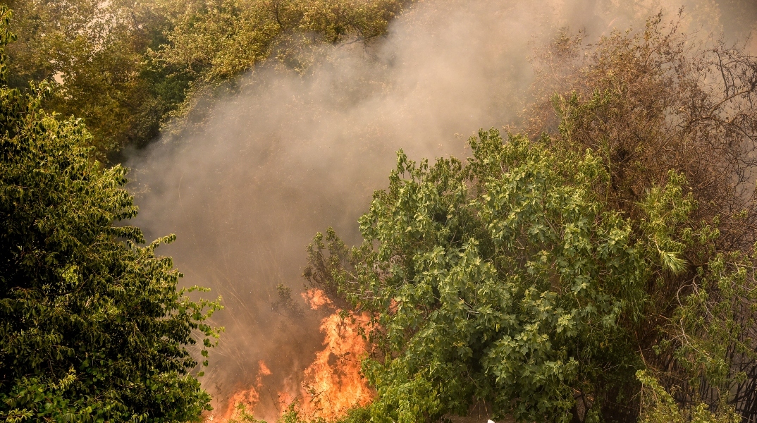 φωτιά στη Μαούνη Ευβοίας
