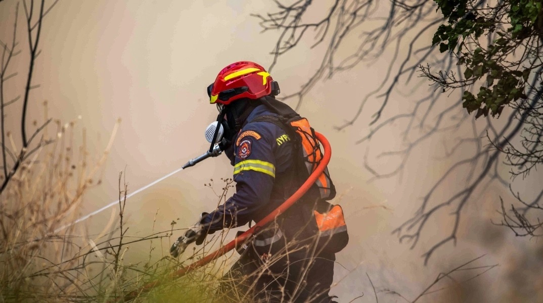 φωτιά, πυροσβεστες, δασος