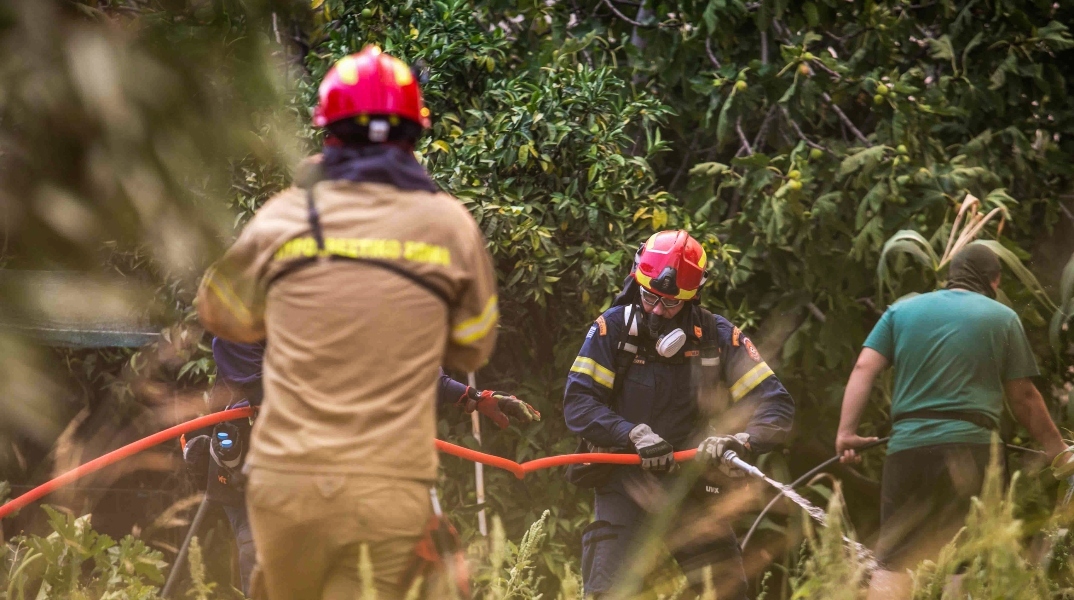 φωτιά, πυροσβεστες, δασος