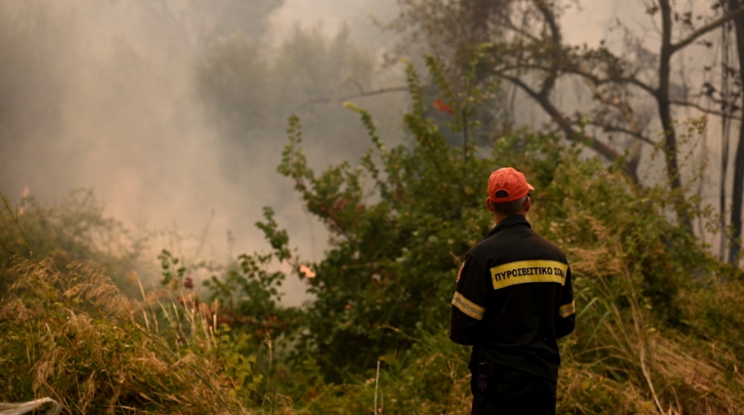 φωτιά, πυροσβεστες, δασος