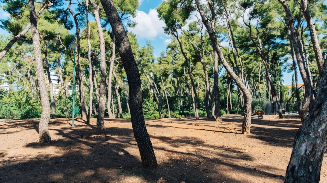 Το Άλσος Χωροφυλακής