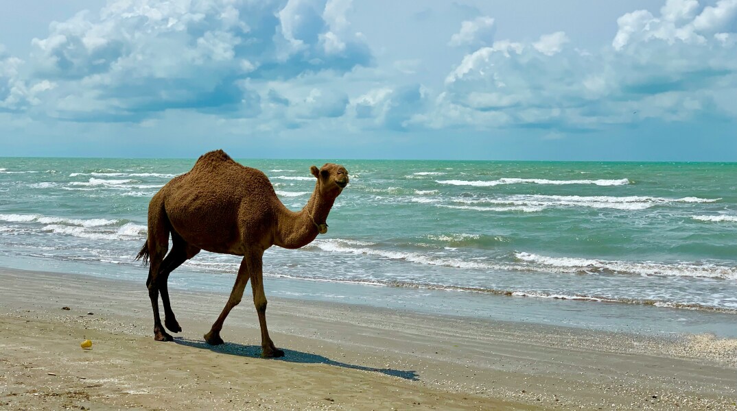 Συναγερμός για την στάθμη της Κασπίας Θάλασσας