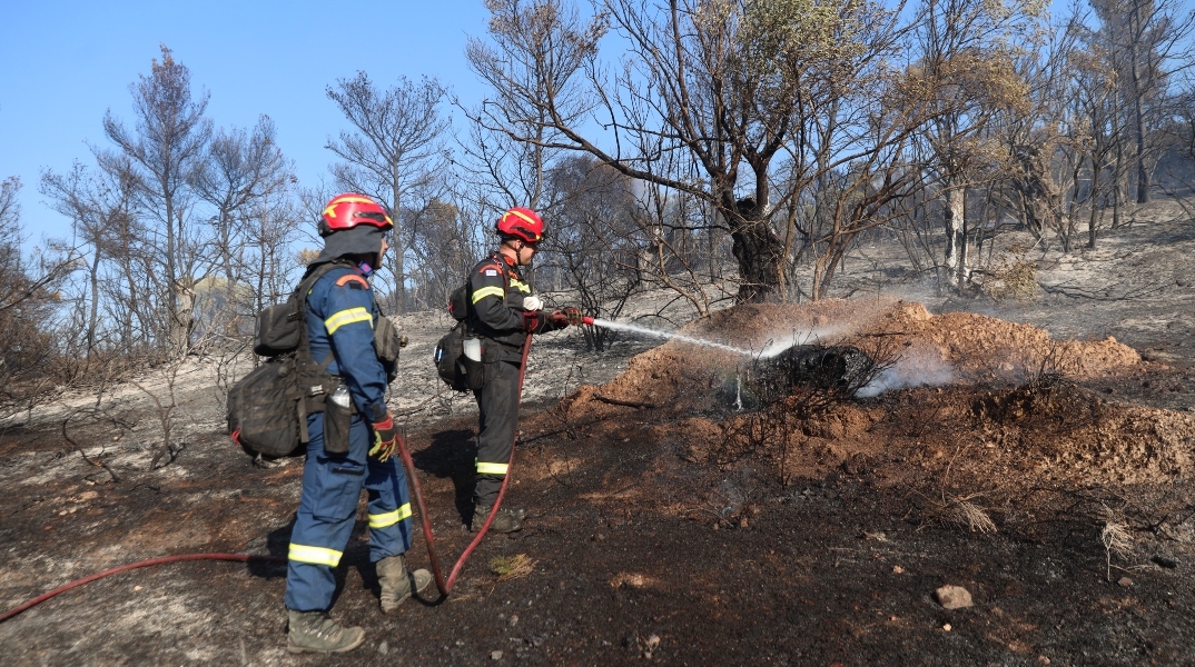 φωτιά, πυροσβεστες, δασος