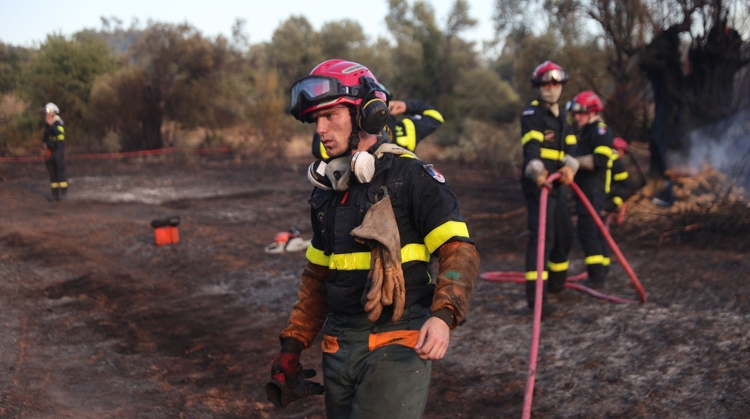 φωτια, δασος, πυροσβεστικο οχημα