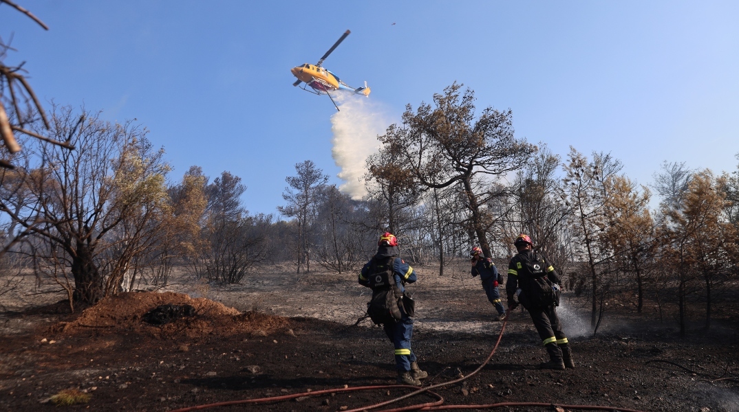 φωτια, δασος, πυροσβεστικο οχημα