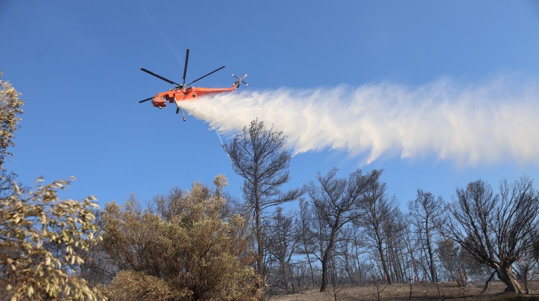 φωτιά, πυροσβεστες, δασος