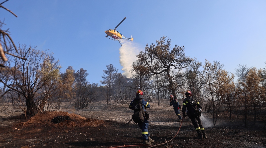 φωτιά, πυροσβεστες, δασος
