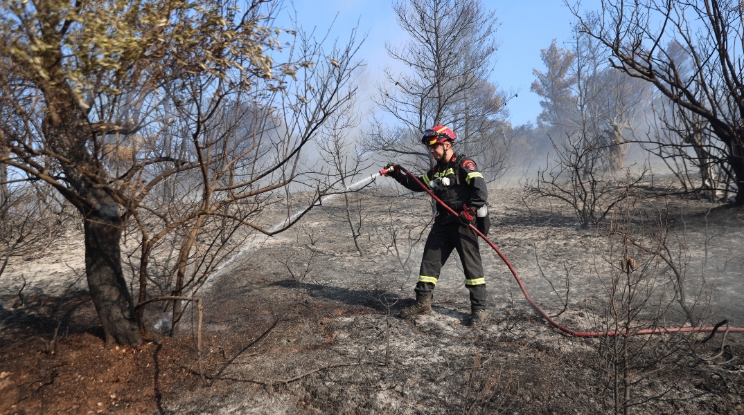 φωτιά, πυροσβεστες, δασος