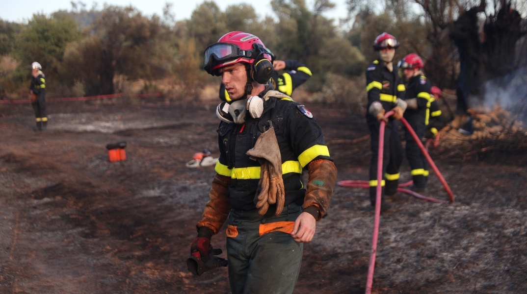 φωτιά, πυροσβεστες, δασος