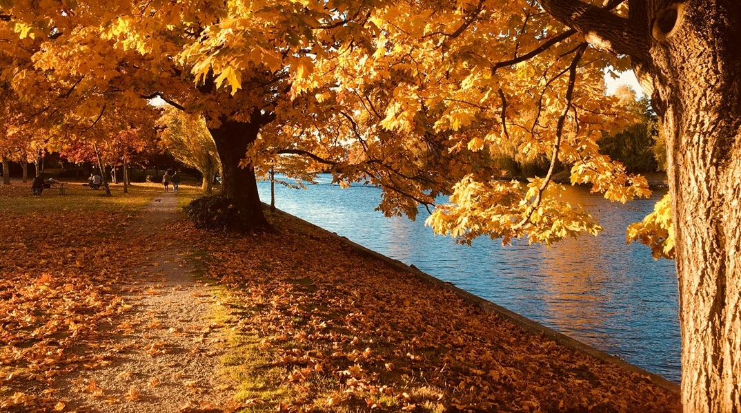 Εορτολόγιο: Σήμερα 5 Σεπτεμβρίου 2025 γιορτάζει…