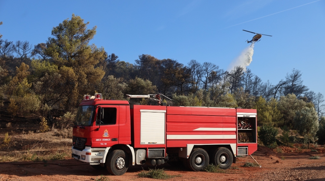 φωτιά, πυροσβεστες, δασος