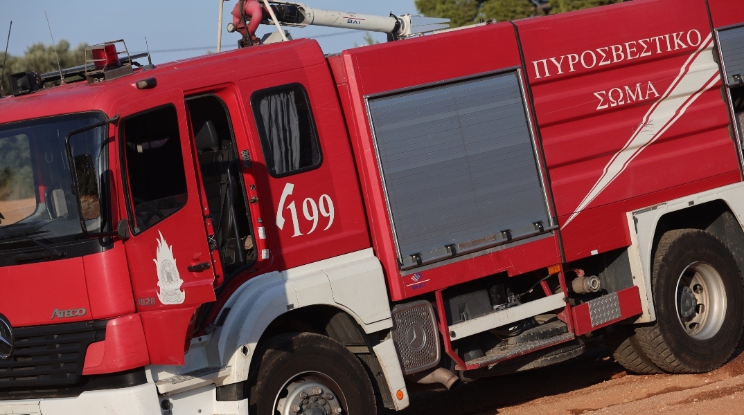 φωτιά, πυροσβεστες, δασος