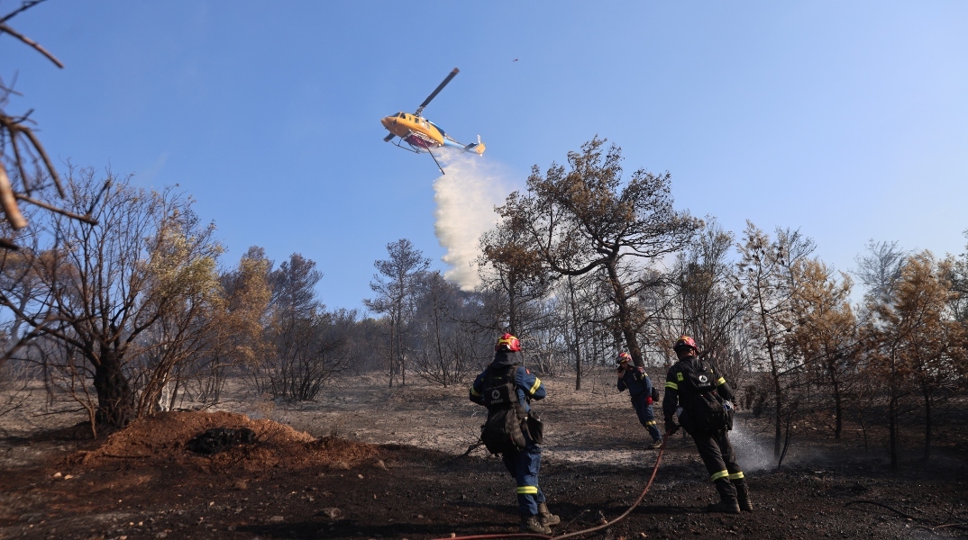 φωτιά, πυροσβεστες, δασος