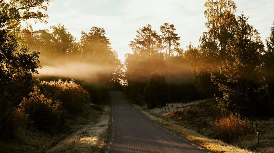 εορτολογιο, δασος