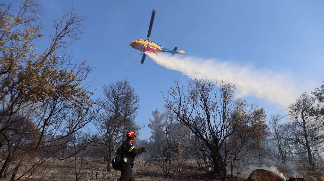 φωτιά, πυροσβεστες, δασος