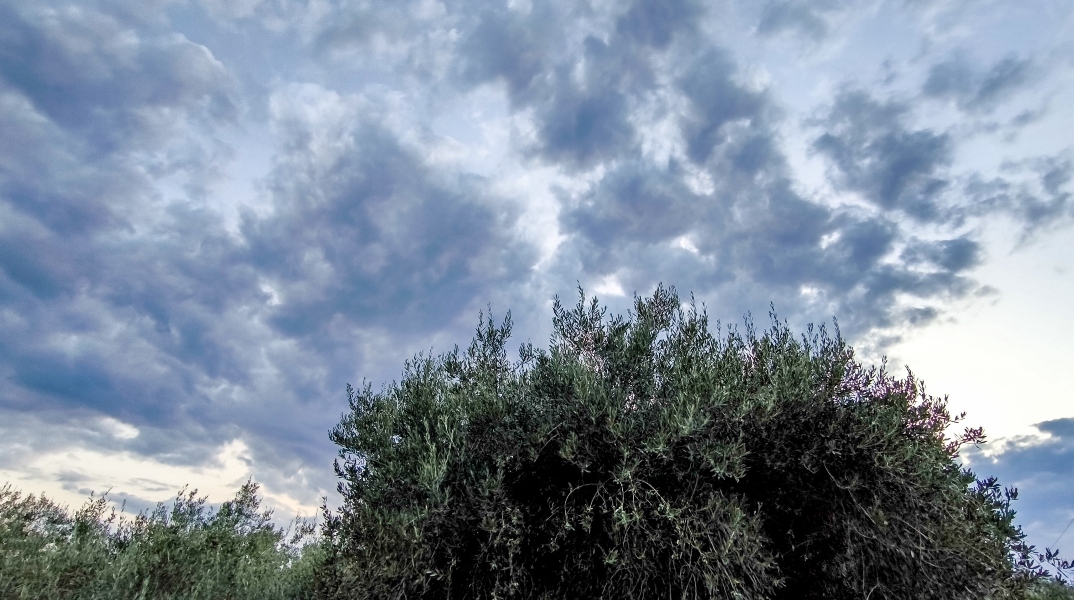 Καιρός, συννεφα