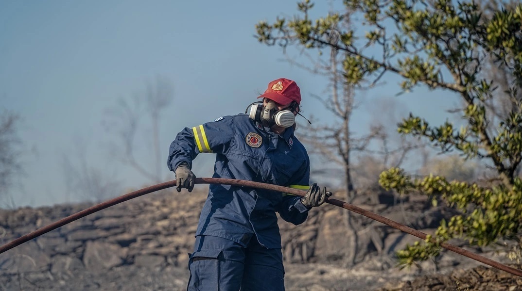 φωτιά, πυροσβεστες, δασος