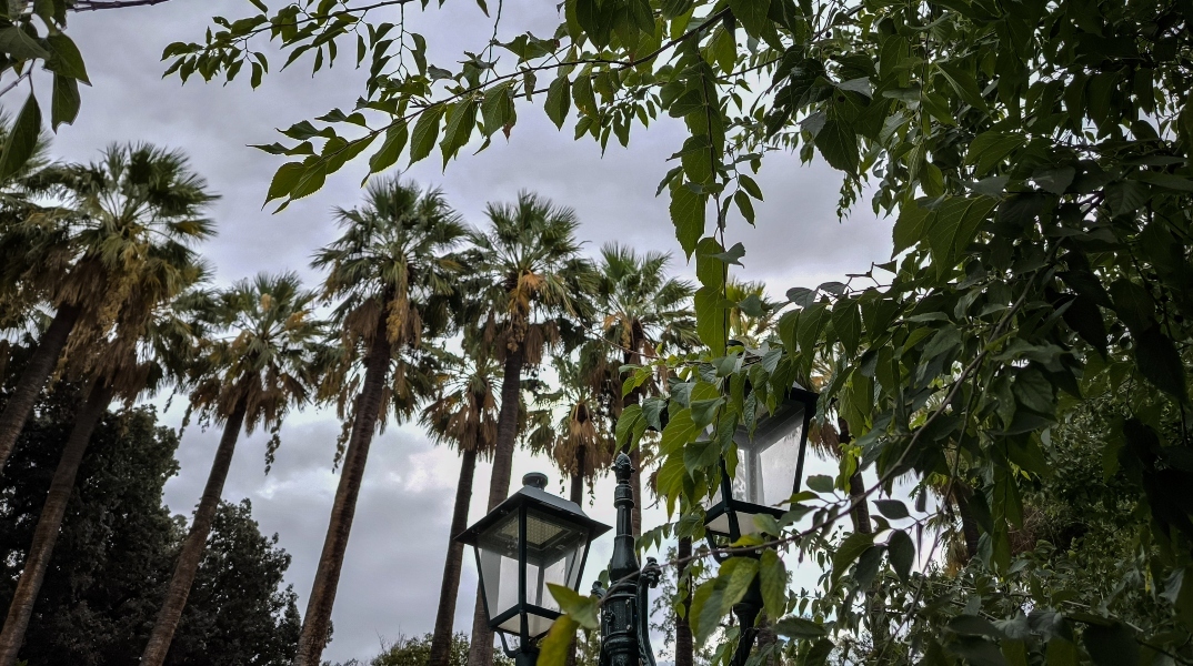 καιρός, συννεφα, δεντρα