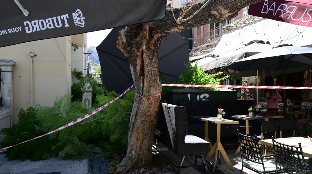 Εικόνες από τη σημείο της πτώσης του δέντρου στο κέντρο της Αθήνας