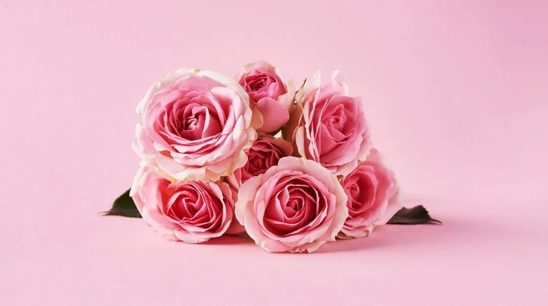 Εορτολόγιο, λουλουδια